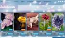Escort Directory WordPress Theme Review