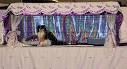 Persian Cats - Shows - Pelaqita Persians