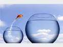 A Leap of Faith