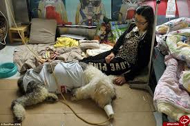 Bildergebnis für ‫سگ واقی وکربه واقی‬‎