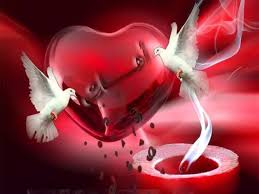 http://t1.gstatic.com/images?q=tbn:ANd9GcSlK16W3jgtLMP2Z6s6jTyTZzDeWuJJ4oPSmWjRw54byvFE3P2x
