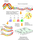 The Science Creative Quarterly » GENOME PROJECTS: UNCOVERING THE ...