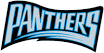 200px-Carolina_Panthers_1995_wordmark.png