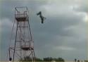 Highest Backflip Ever - Video