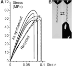 Silica-Like Malleable Materials from Permanent Organic Networks