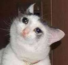 images?q=tbn:ANd9GcSm58BKbzdEnaMm8HXxzd1txE-PfKuTlmMHfaIFwKVF1eUKCN8GZQ