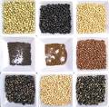 USDA Soybean Germplasm Collection