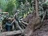 thumb_337726_1410447358.jpg