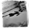 The Long Exposure of FRANCESCA WOODMAN by Elizabeth Gumport ...