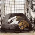 Crate Training Puppies | How to Crate Train a Puppy