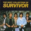 Eye Of The Tiger” by Survivor | Guitar Alliance