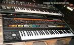 Roland Jupiter 8 Analog Synthesizer