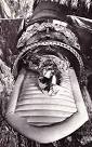 Cryonics