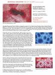 Aboriginal Art - Aboriginal Art News