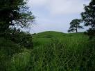Mount Cop. A motte at Eglwys Cross, east of Hanmer - via Daymix