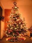 Nothing matches Christmas Tree Lights