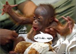 صور ...تفطس ..ضحك images?q=tbn:ANd9GcS