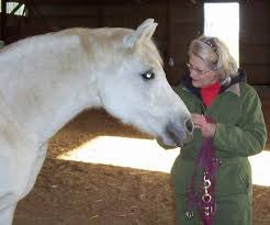 Horse Artist Interview – Delia Pacheco | The Equinest - delia-pacheo-1