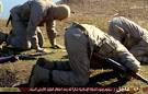 Isis shoots down coalition warplane and captures its Jordanian pilot