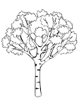 Trees coloring page
