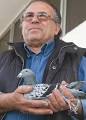 Malta Racing Pigeon Federation president Charles Farrugia with the racing ... - ca095f34381eb19bca026a8e424f15a71189231621-1301690221-4d96376d-620x348