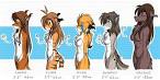 Twokinds Bust Size Chart by  Twokinds on deviantART