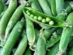 Riton et les <b>petits pois</b>.