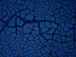 A Look at WordPress Fragmentation - Tom McFarlin