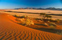 Birds, birding and bird watching in Namibia