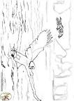 Eagle coloring page