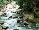 River Types
