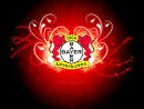 The Football: Bayer Leverkusen Pictures