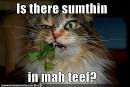 Funny Pictures!