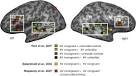 ScienceDirect.com - Brain Research - Semantics and the ...