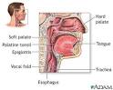 Throat anatomy - Nasal congestion Pictures &amp; Images (Nose ...