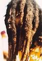 Dreadlocks - Wikipedia, the free encyclopedia