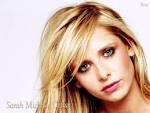 The Sarah Michelle Gellar
