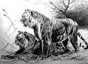 Extinct Animals Gallery