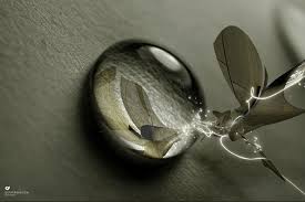 http://t1.gstatic.com/images?q=tbn:ANd9GcSpUnJEEBlfx2lTHHlGG55Rgsl0trA8sByW_OOzuDMkVDP6VXnT