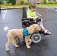 Hearing dog « Learning from Dogs