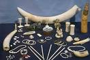 Convention on International Trade in Endangered Species