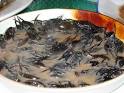 Insect food | Incredible Dot Com