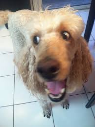 Fun & Info @ Keralites.net