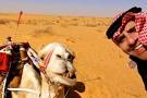 وصورة أفضل علاقة بين رحالة
