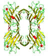 <b>Phytohemagglutinin</b> L.png