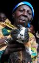 Neil Palmer/CIAT - drc_guinea_pig