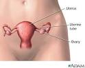 Female Anatomy Pregnancy Month By Month - HealthCentral