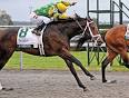 Aikenite Works 5 Furlongs in Preakness Prep | BloodHorse.