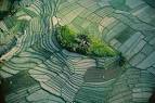 Yann Arthus-Bertrand