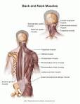 Neck <b>Spasm</b> photos and related